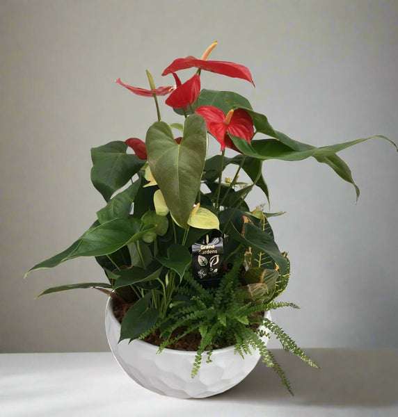 Radiant Basket | Indoor Planter Basket with Roses | Sunstrum's