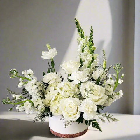 White Wonder