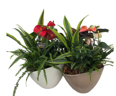 Radiant Planter