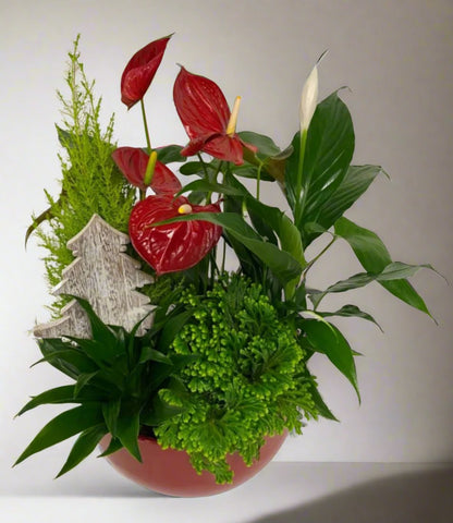 Large Christmas Planter