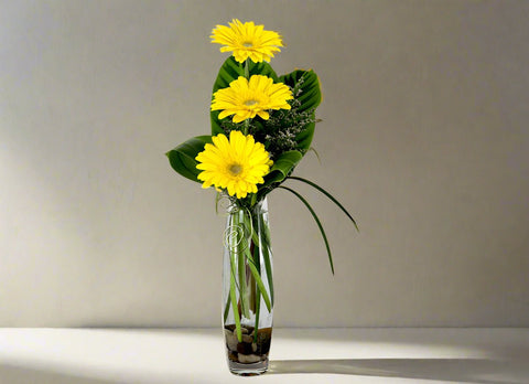 Gerberas in a Bud Vase